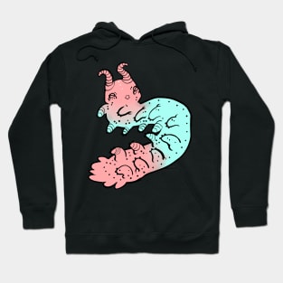 Trans Pride Velvet Worm Hoodie